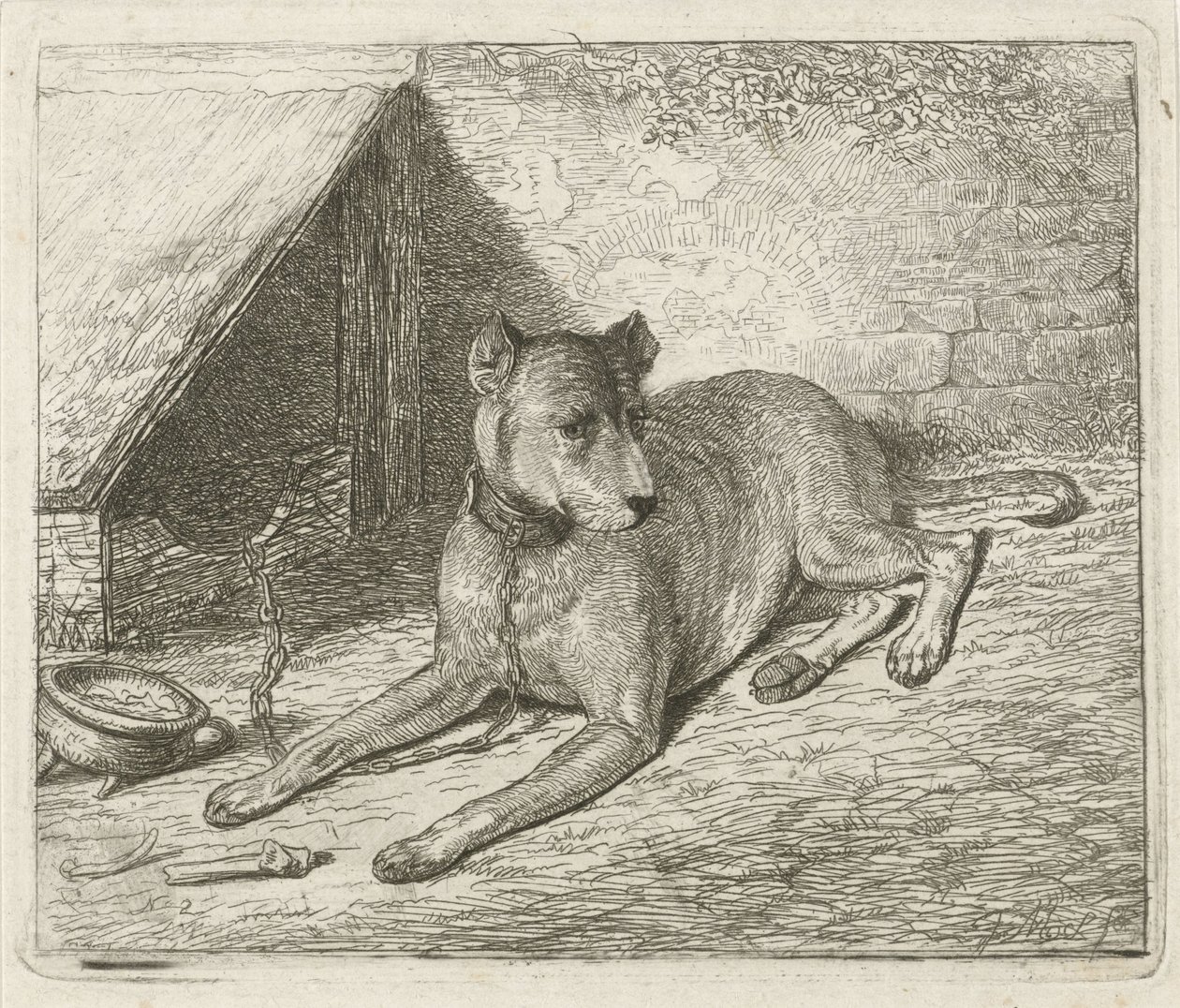 Perro en una cadena en una perrera de Johannes Mock