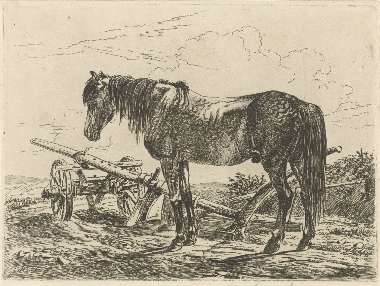 Caballo con un arado de Johannes Mock