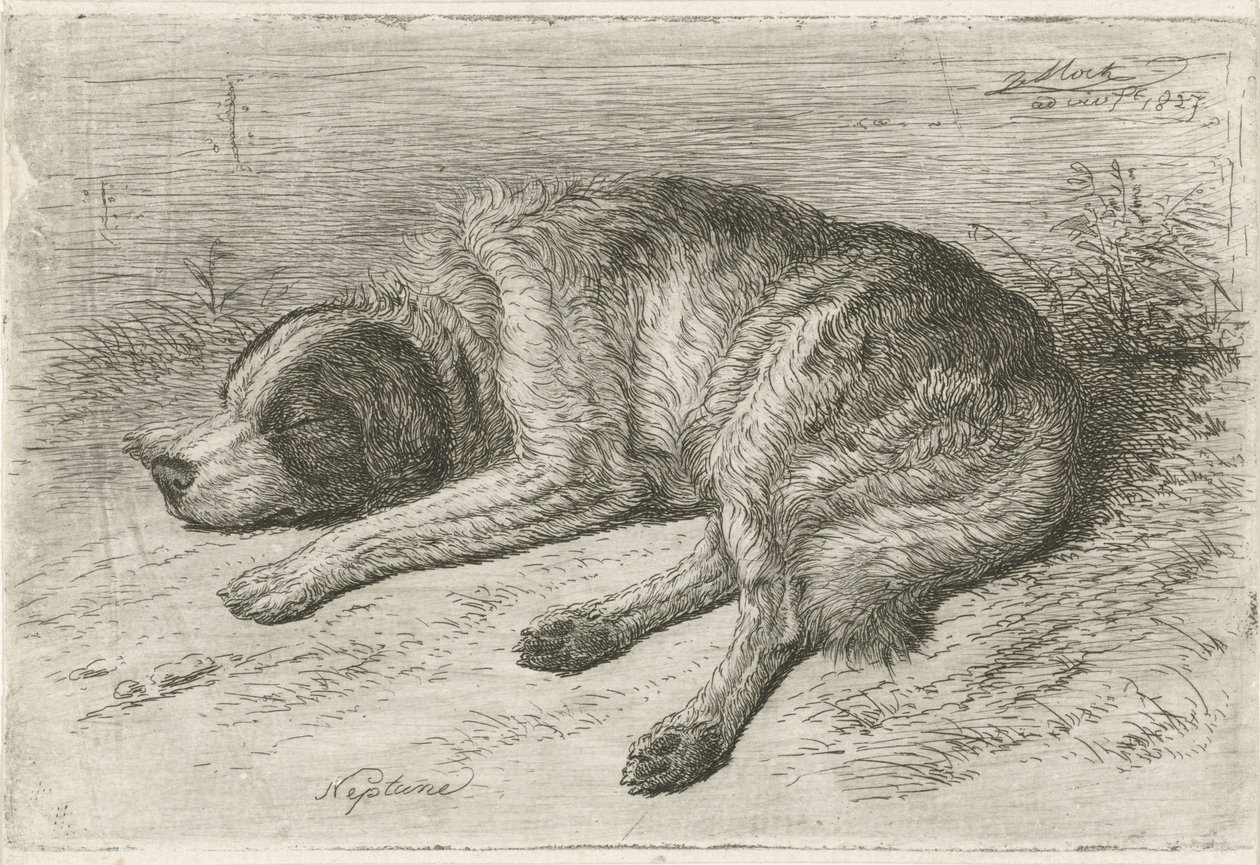 Perro durmiendo a la izquierda Neptuno (título sobre el objeto) de Johannes Mock