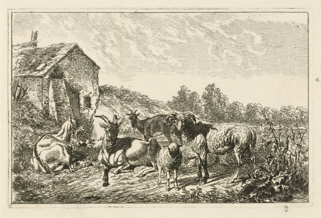 Cuatro cabras y una oveja junto a una casa. de Johannes Mock