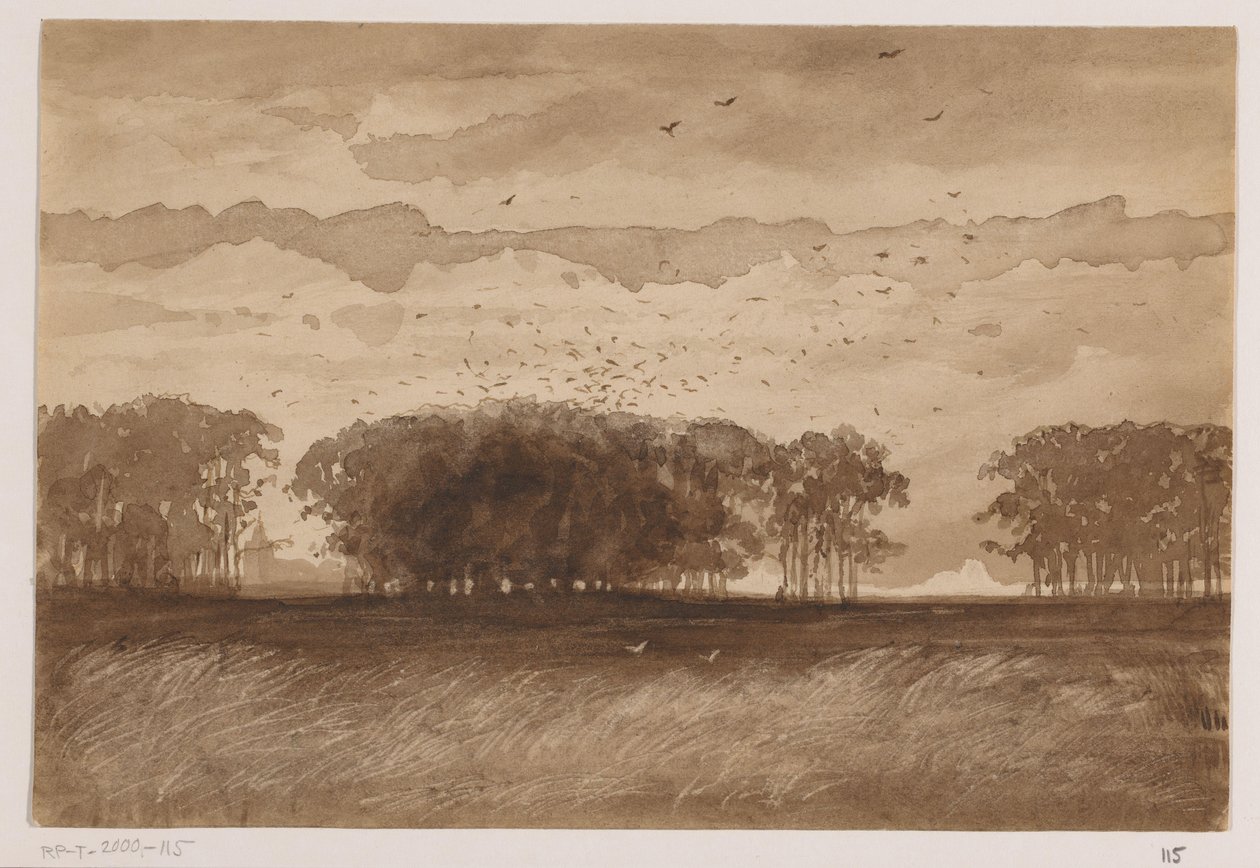 Colonia de lucios en Brabante Septentrional de Johannes Tavenraat (signed by artist)