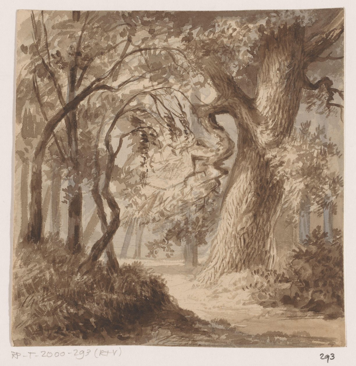 Paisaje forestal de Johannes Tavenraat