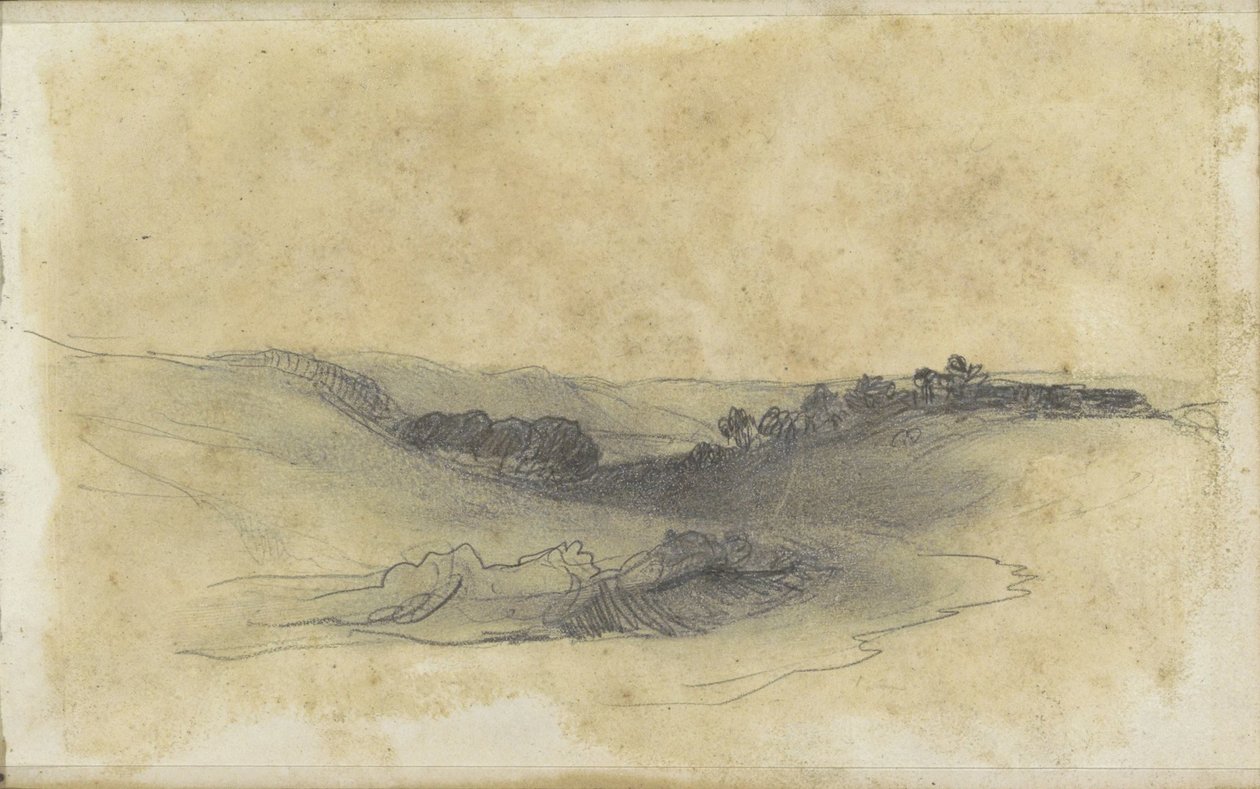 Paisaje de colinas con árboles de Johannes Tavenraat