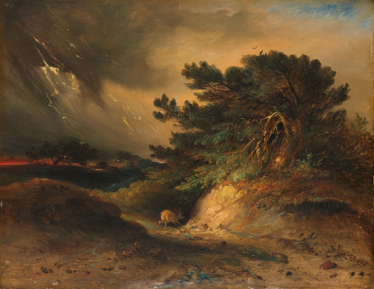 La tormenta eléctrica
La tormenta eléctrica de Johannes Tavenraat