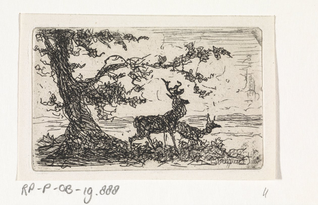 Dos ciervos debajo de un árbol de Johannes Tavenraat