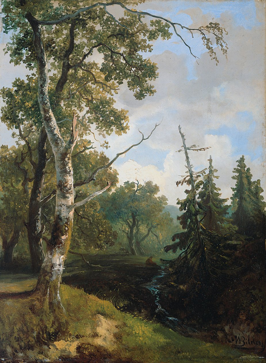 Vista del bosque cerca de Wolfheze. de Johannes Warnardus Bilders