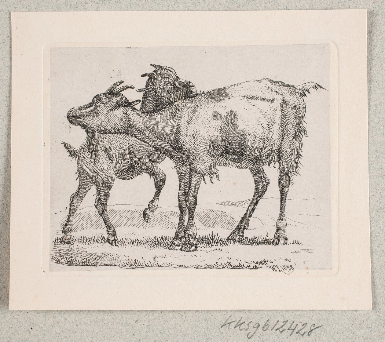 Una cabra con su cabrito de Johannes Wilhelm Zillen