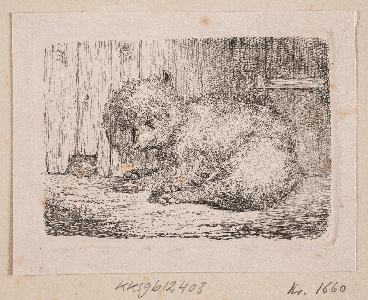 Un perro de pelo largo de Johannes Wilhelm Zillen