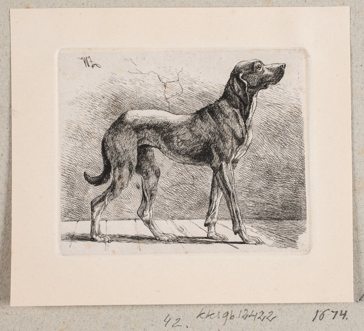 Un perro de pie de Johannes Wilhelm Zillen