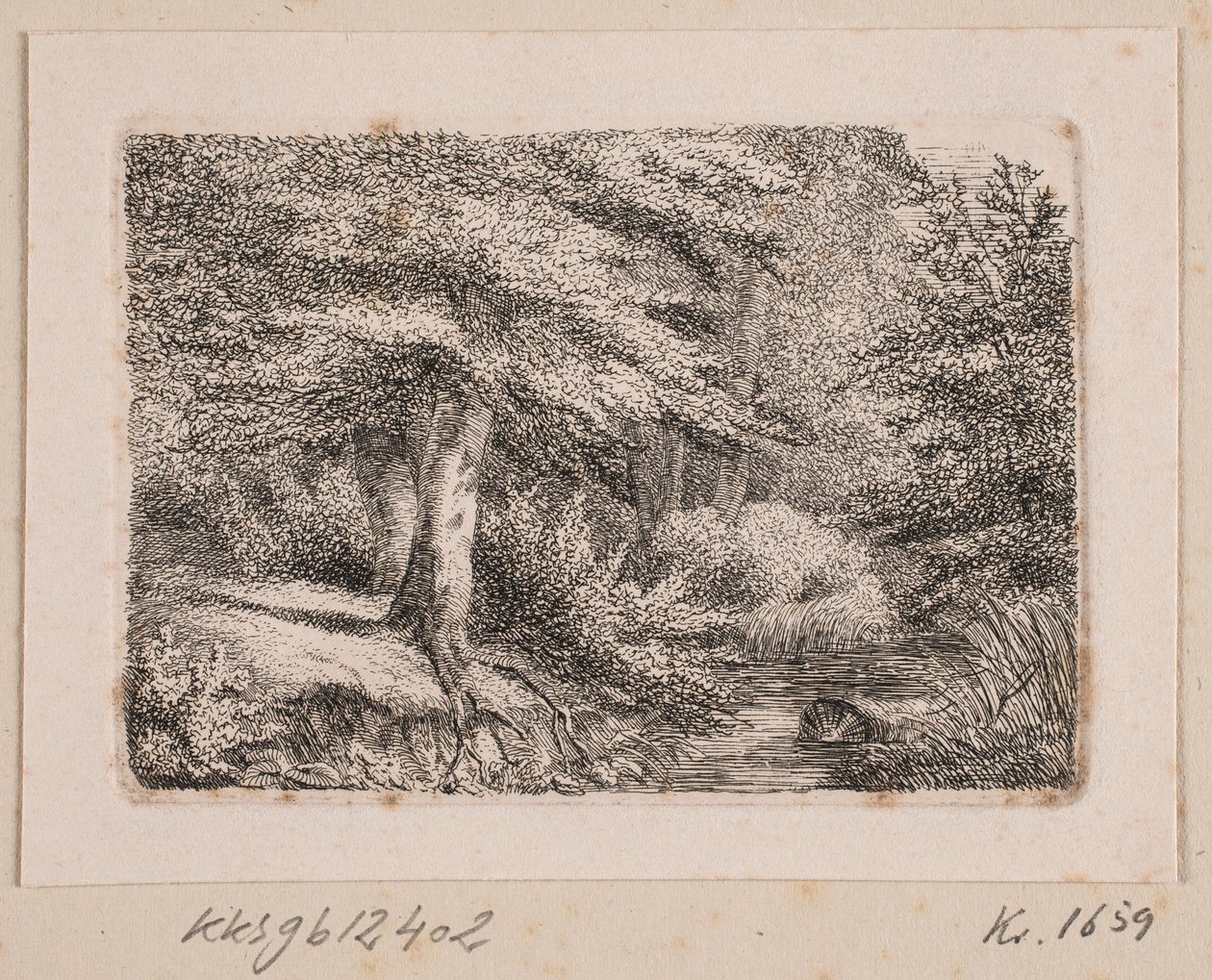 Paisaje forestal de Johannes Wilhelm Zillen