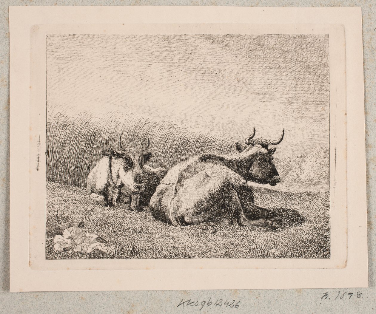 Dos Vacas Descansando de Johannes Wilhelm Zillen