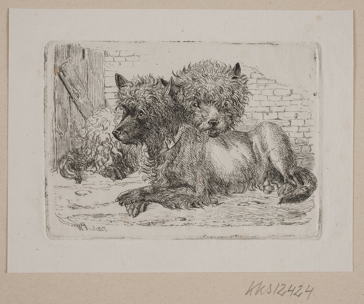 Dos perros acostados de Johannes Wilhelm Zillen