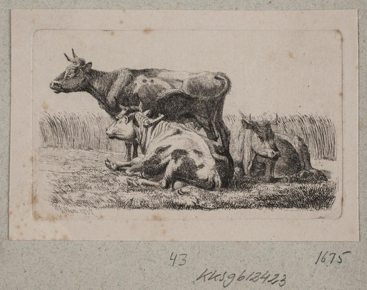 Tres vacas de Johannes Wilhelm Zillen