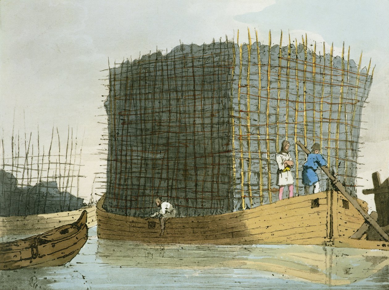 Corteza de Carbón, grabado por el artista, publicado en 1803 de John Augustus Atkinson