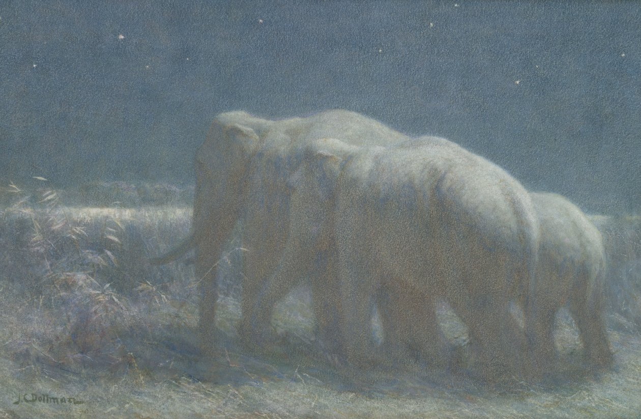 Noche, 1908 de John Charles Dollman