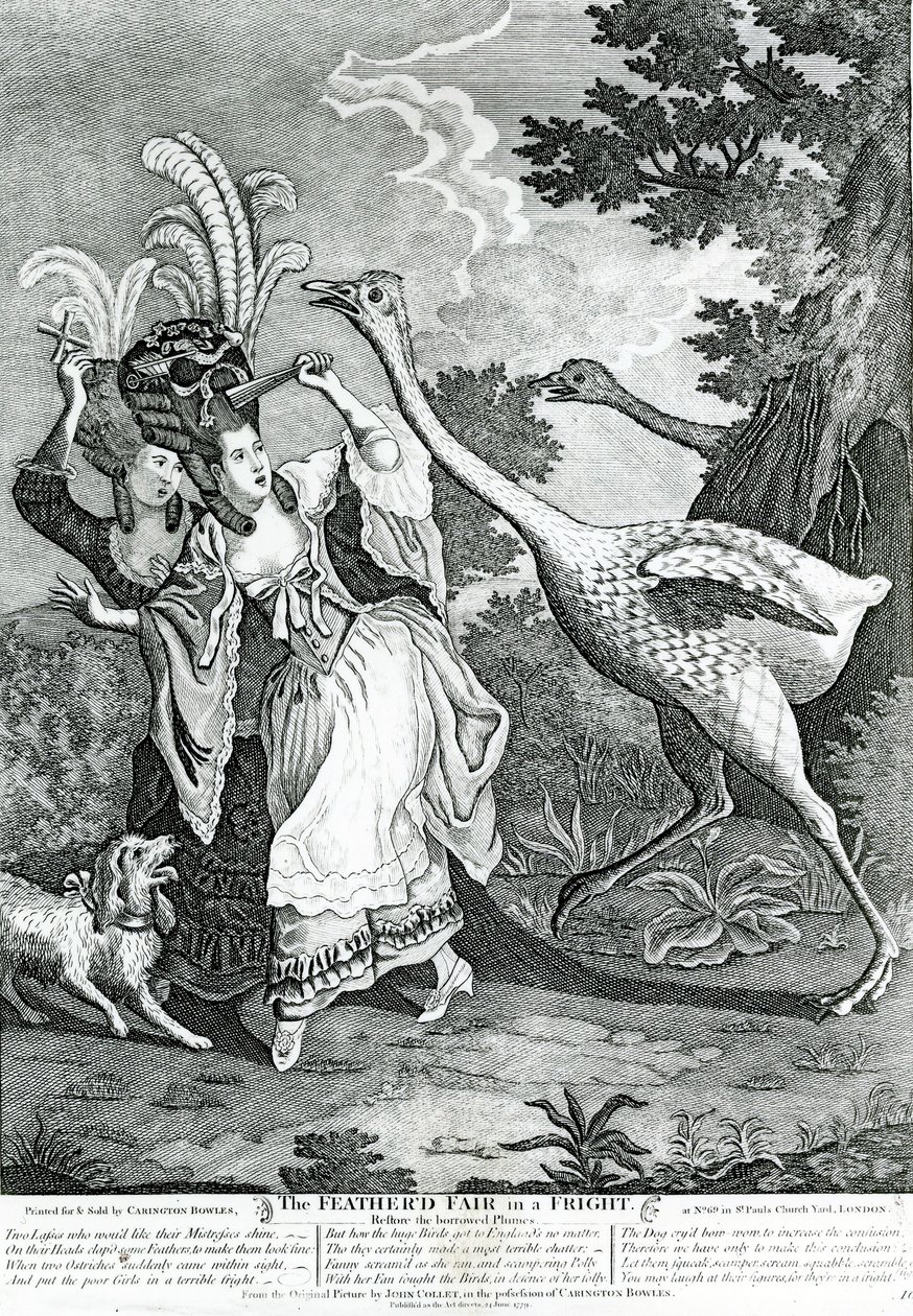 El amigo emplumado en un susto, 1779 de John Collet
