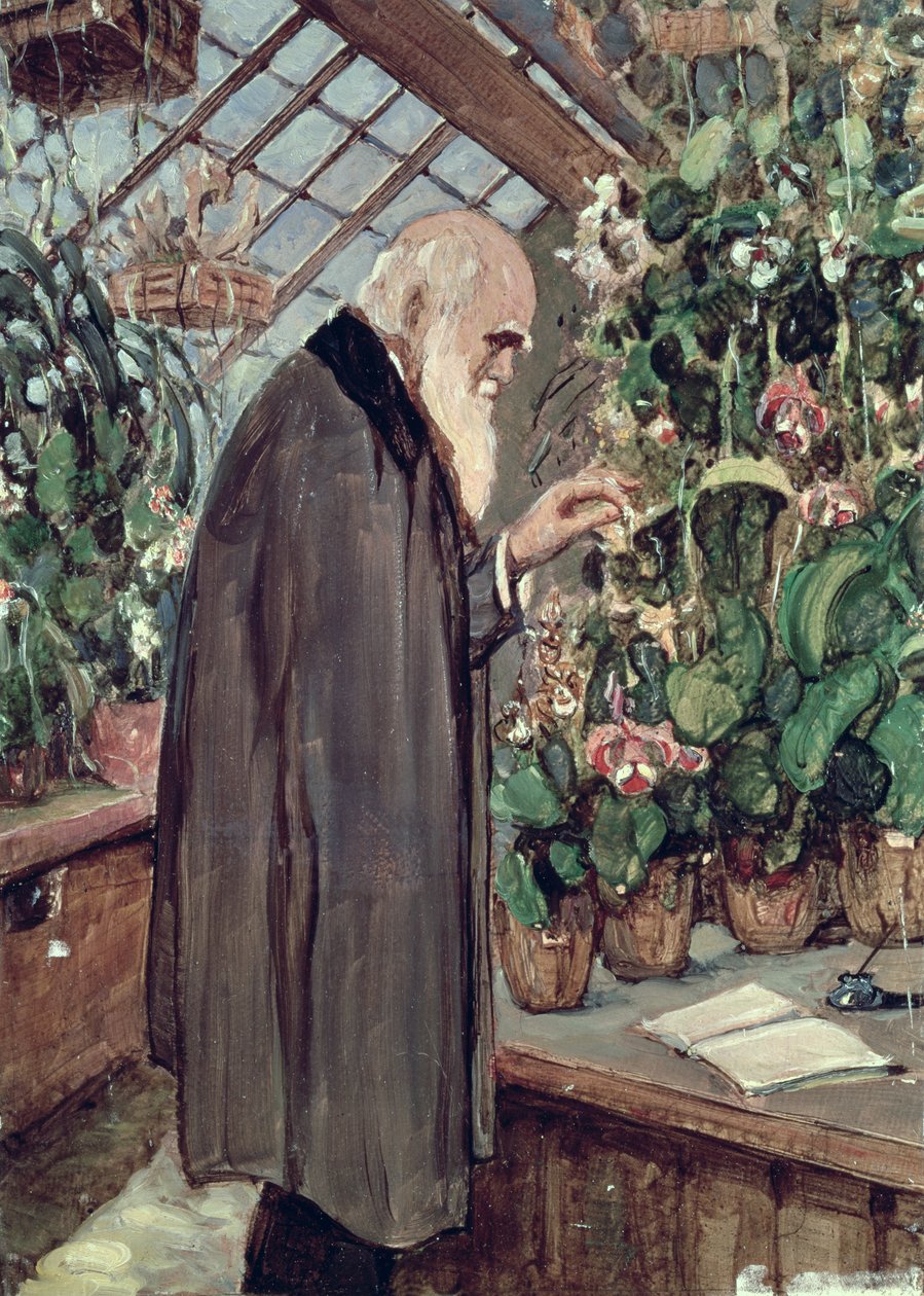 Charles Robert Darwin (1809-82) de John Collier