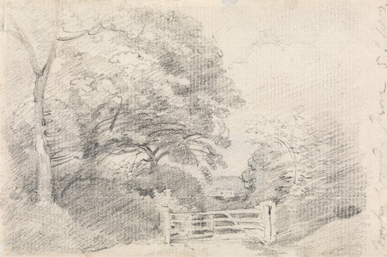 Coombe Wood de John Constable