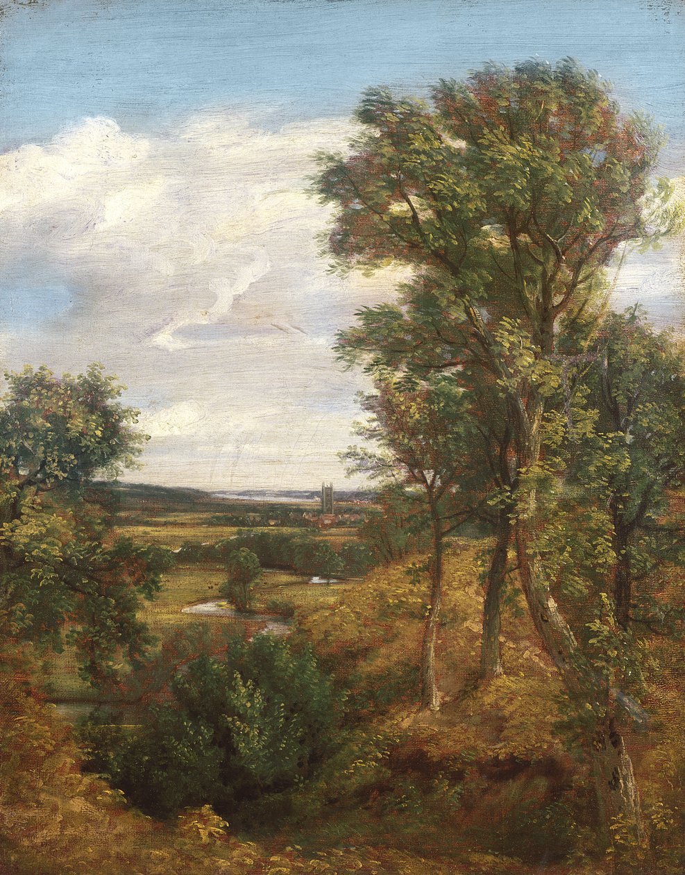 Valle de Dedham, 1802 de John Constable