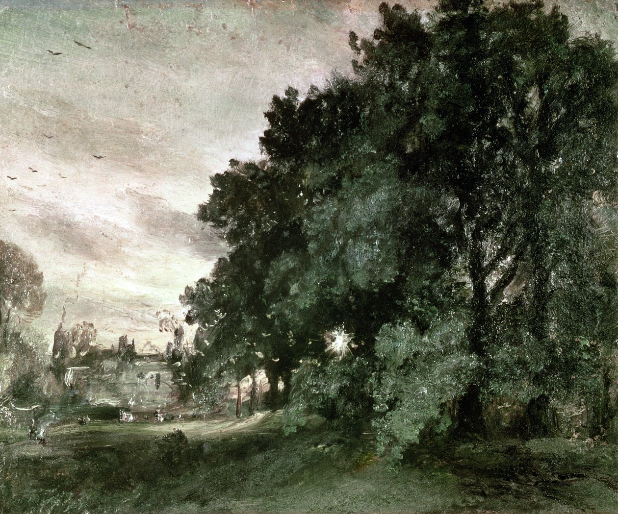 Estudio de árboles de John Constable