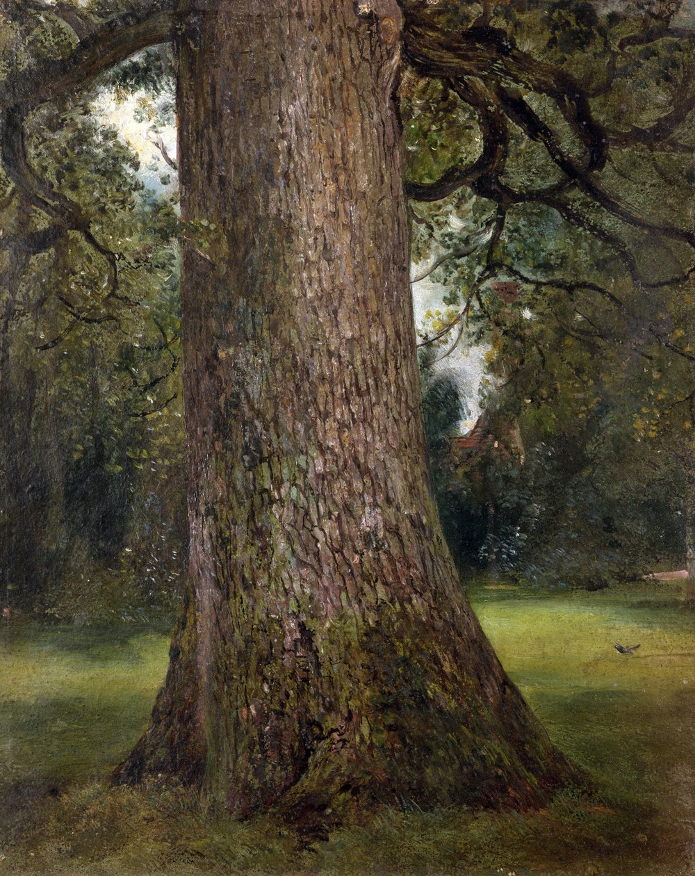 Estudio del tronco de un olmo, c.1821 de John Constable