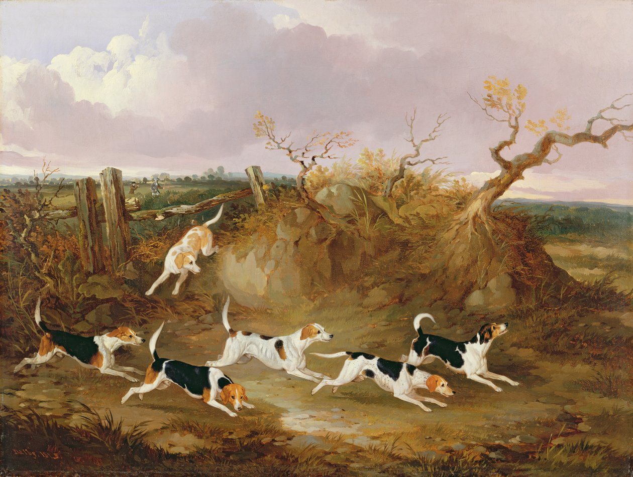 Beagles en plena caza, 1845 de John Dalby