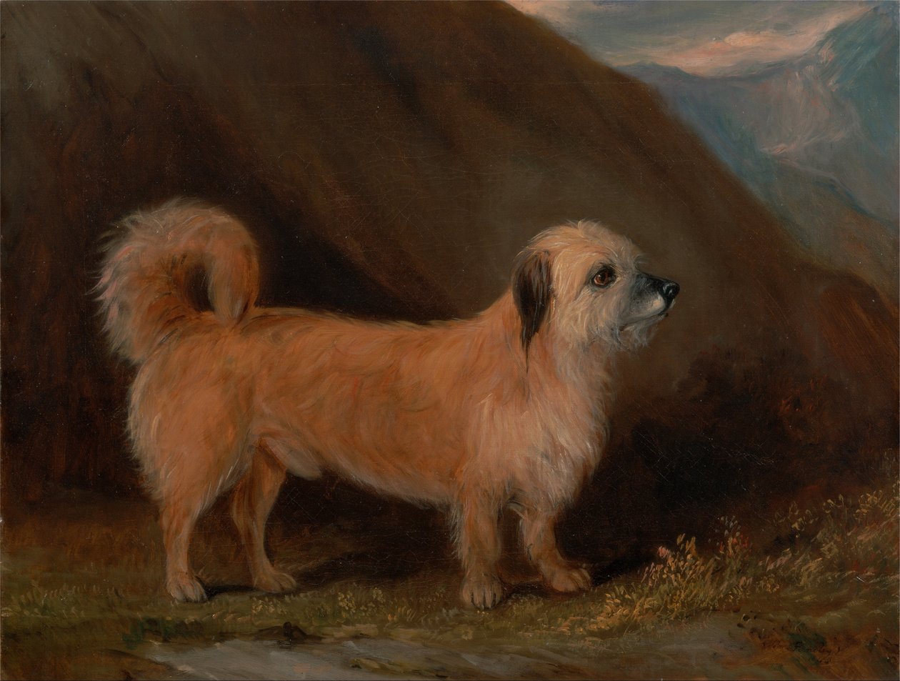 Un Terrier Dandie Dinmont de John E. Ferneley