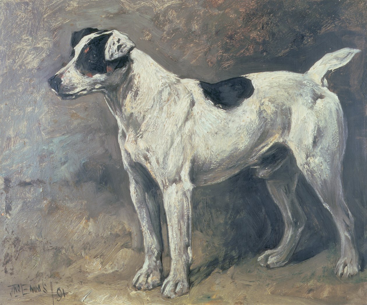 Un Jack Russell, 1891 de John Emms