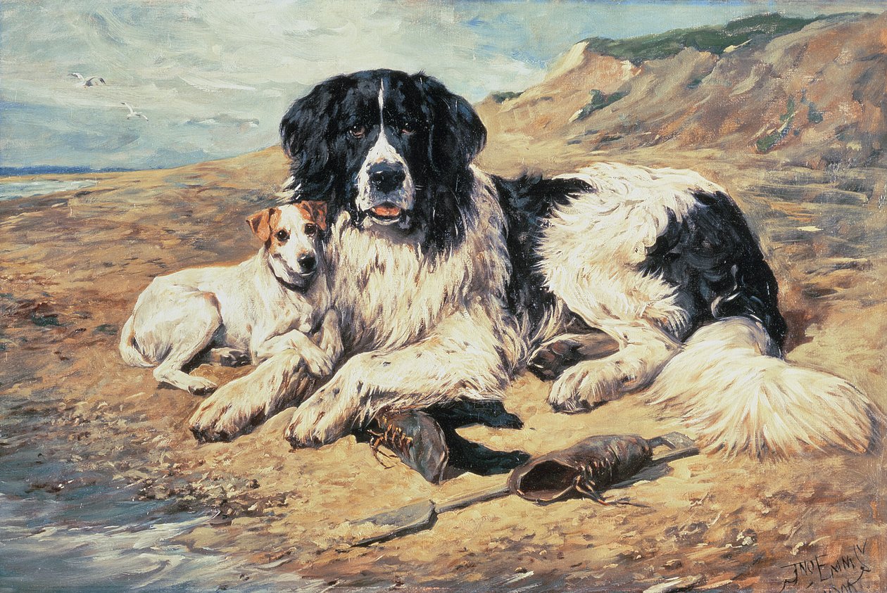 Perros observando a los bañistas, 1900 de John Emms