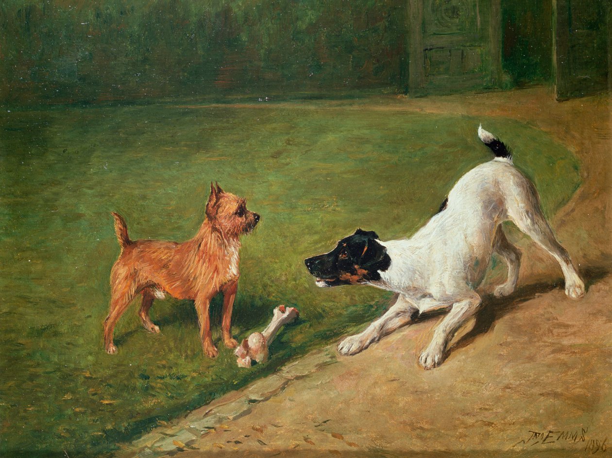 Peleando por un hueso de John Emms