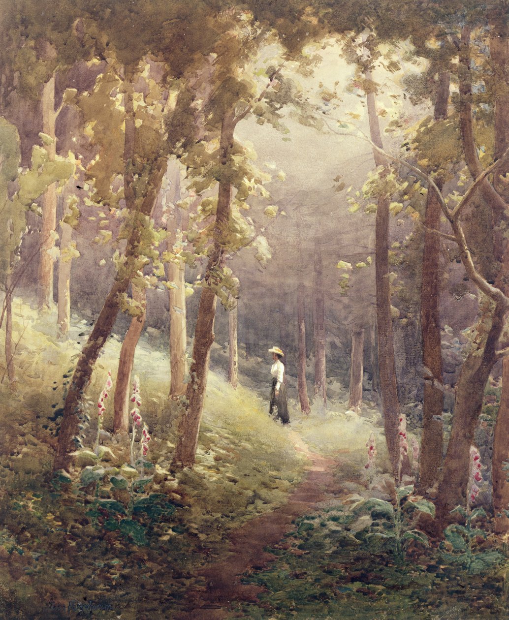 Un claro en el bosque de John Farquharson