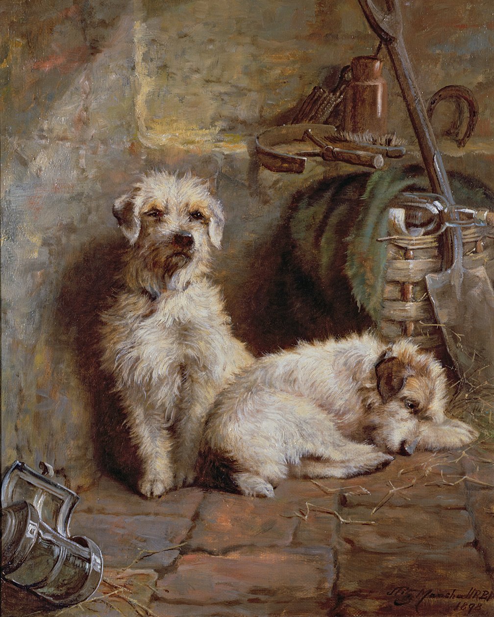 Compañeros de establo, 1898 de John Fitz Marshall