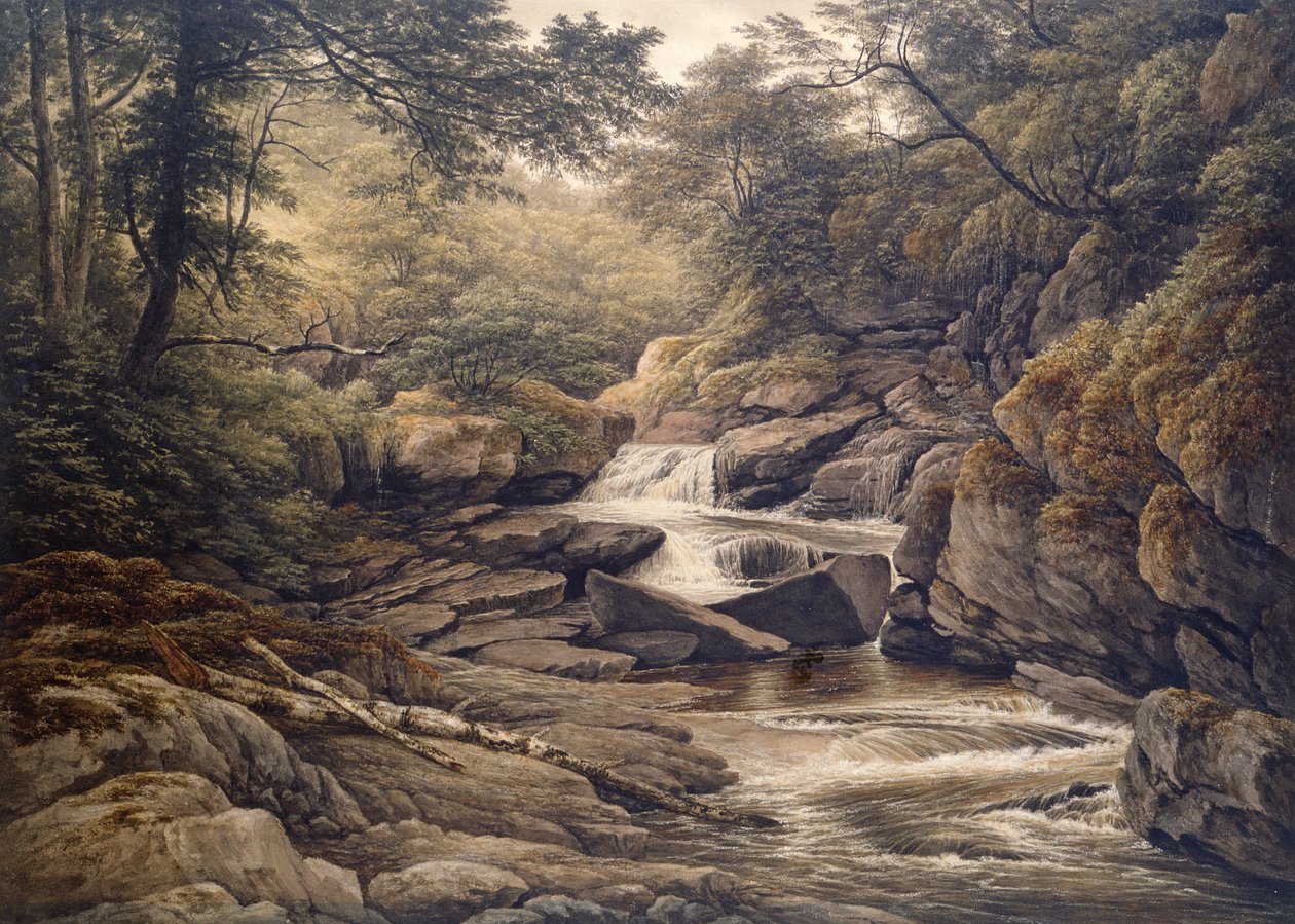Rhiadr Ddu, cerca de Maentwrog, Gales del Norte de John Glover