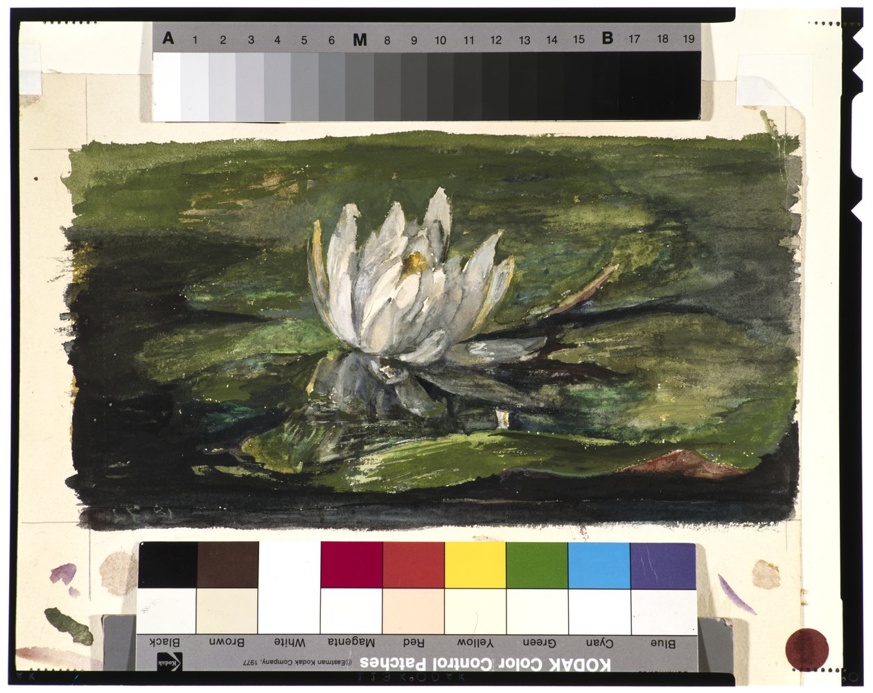 Nenúfar a la luz del sol, 1881 de John La Farge or Lafarge