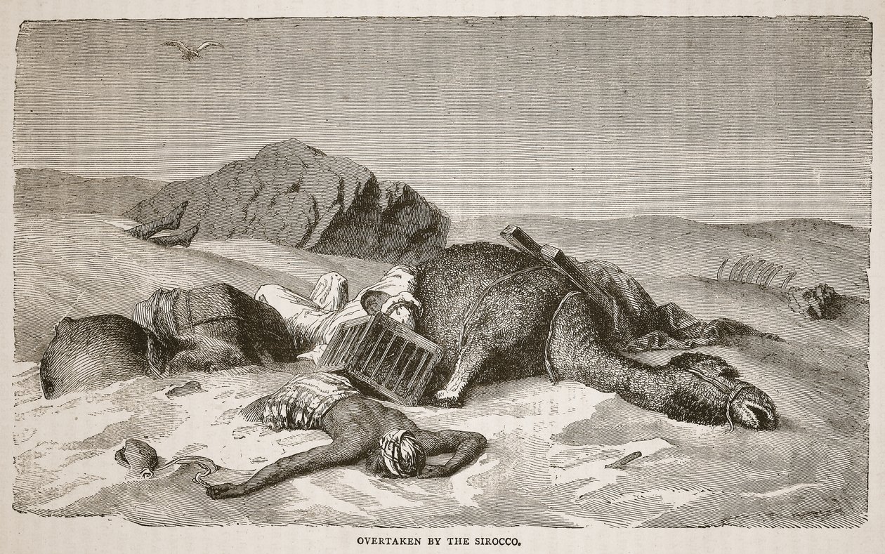 Atrapado por el Siroco, ilustración de La Edición Pictórica de la Vida y Descubrimientos de David Livingstone por J. Ewing Richie, pub. por A. Fullarton y Co., 1876 de John Martin