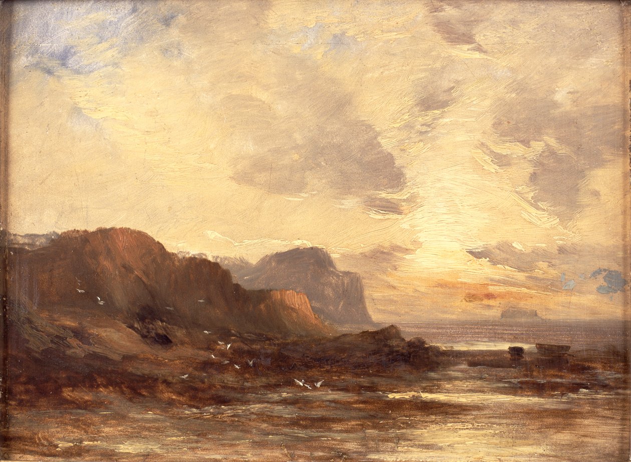 La costa de Berwickshire de John Milne Donald