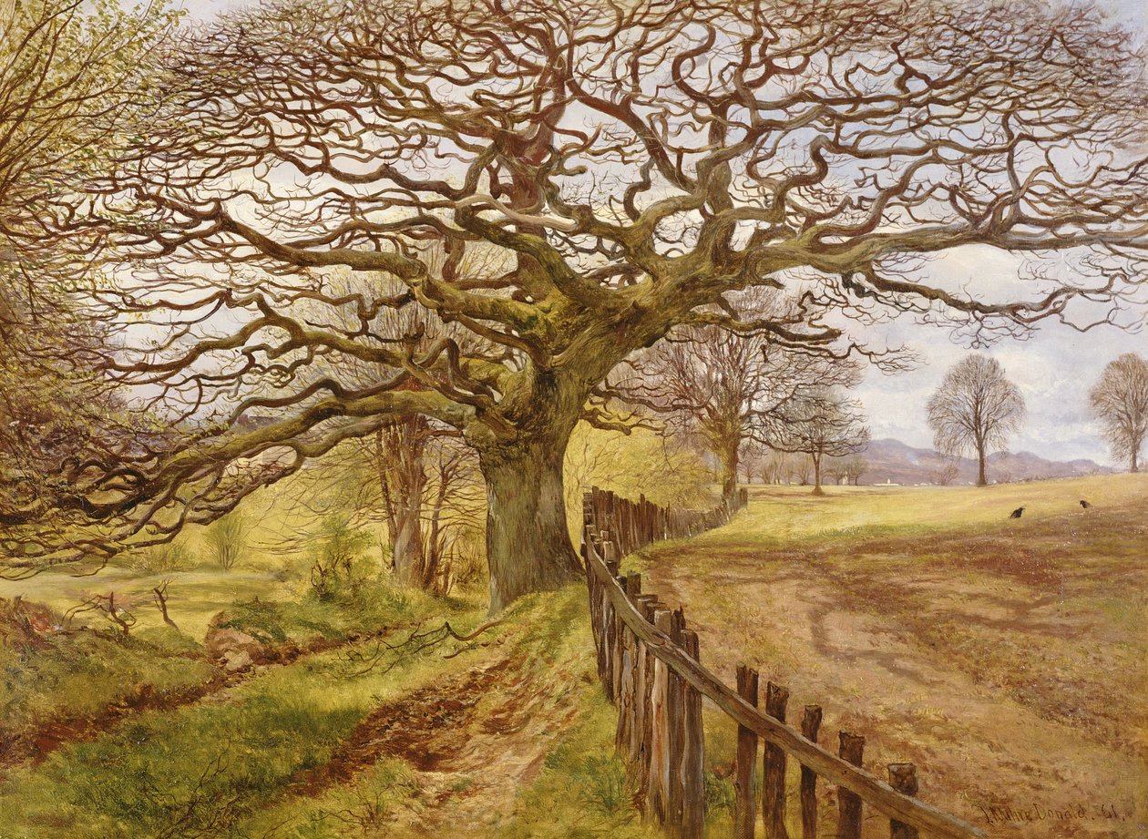El Árbol, 1861 de John Milne Donald