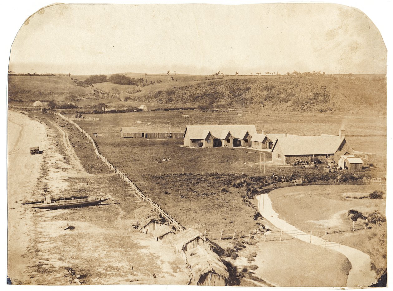 Kohimarama, c.1860 de John Nicol Crombie