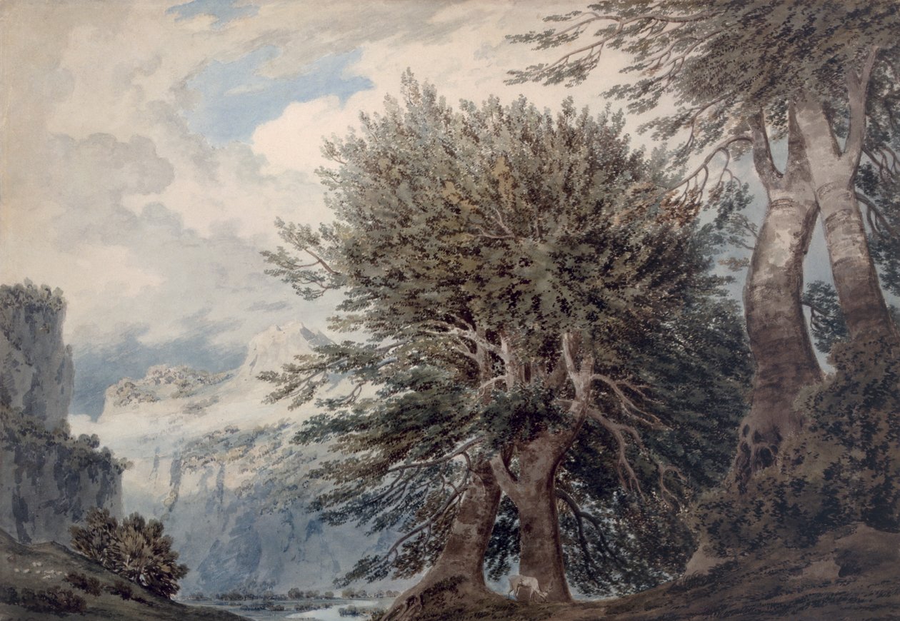 Paisaje montañoso con hayas, 1792 de John Robert Cozens