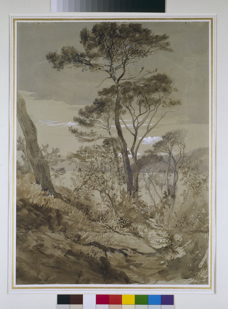 Pinos de piedra en Sestri, Golfo de Génova, 30 de abril de 1845 de John Ruskin