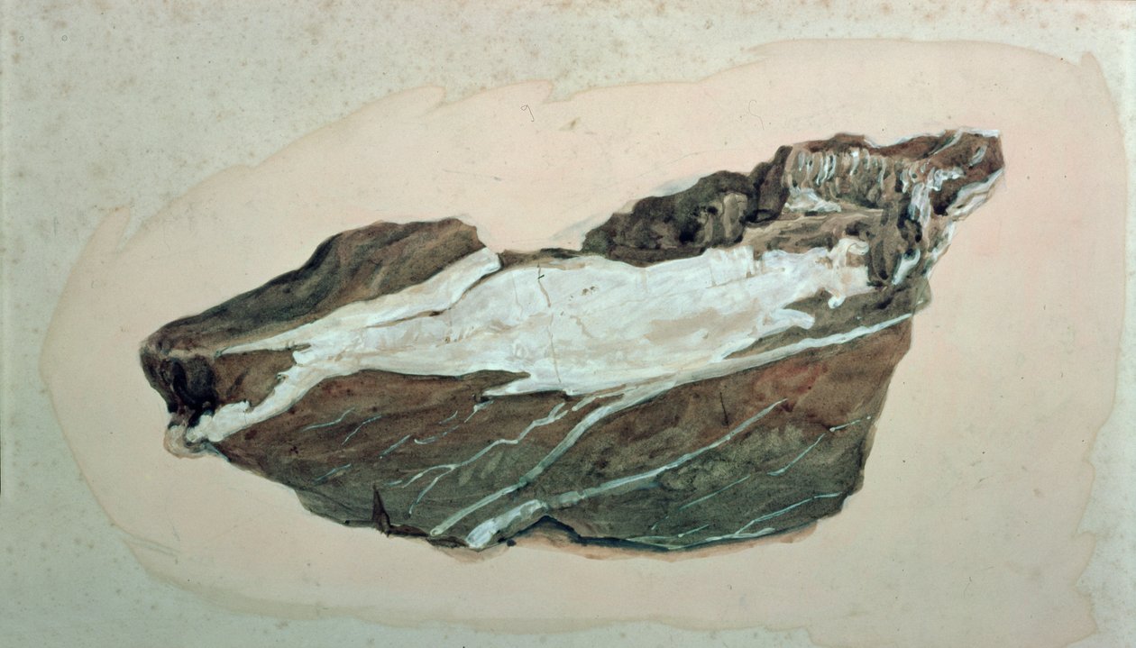 Estudio de Roca con Vetas de Cuarzo, siglo XIX de John Ruskin