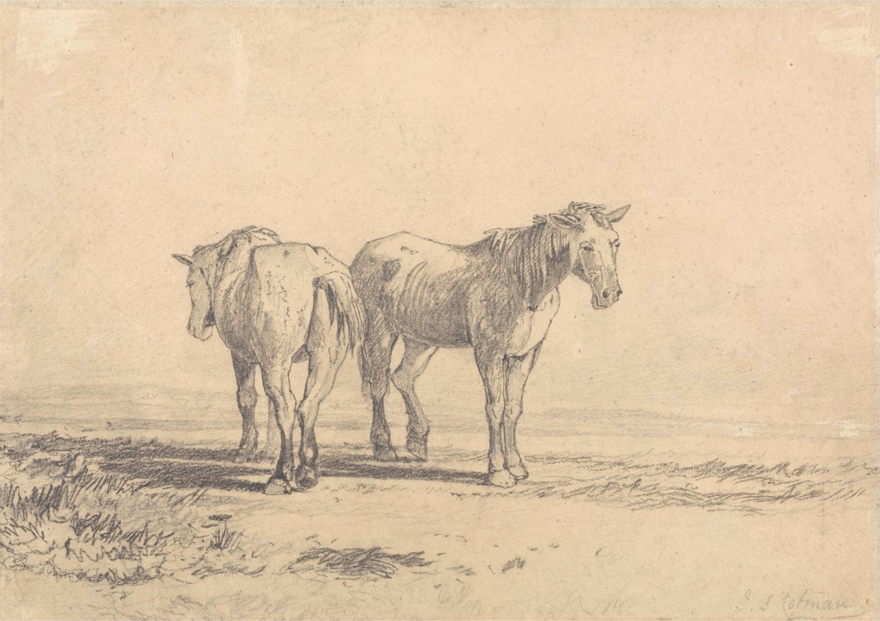 Dos caballos viejos de pie en un campo de John Sell Cotman