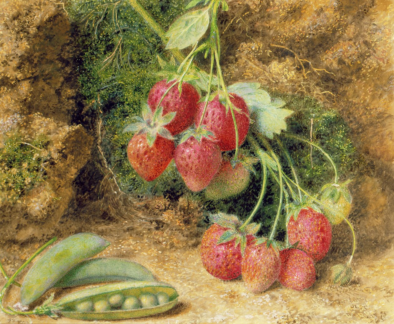 Fresas y guisantes de John Sherrin