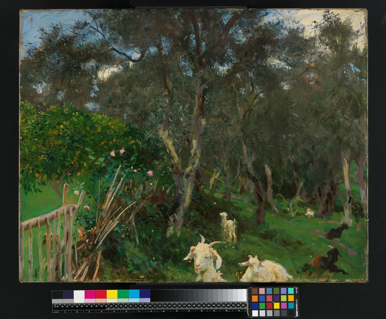 Olivos en Corfú, 1909 de John Singer Sargent