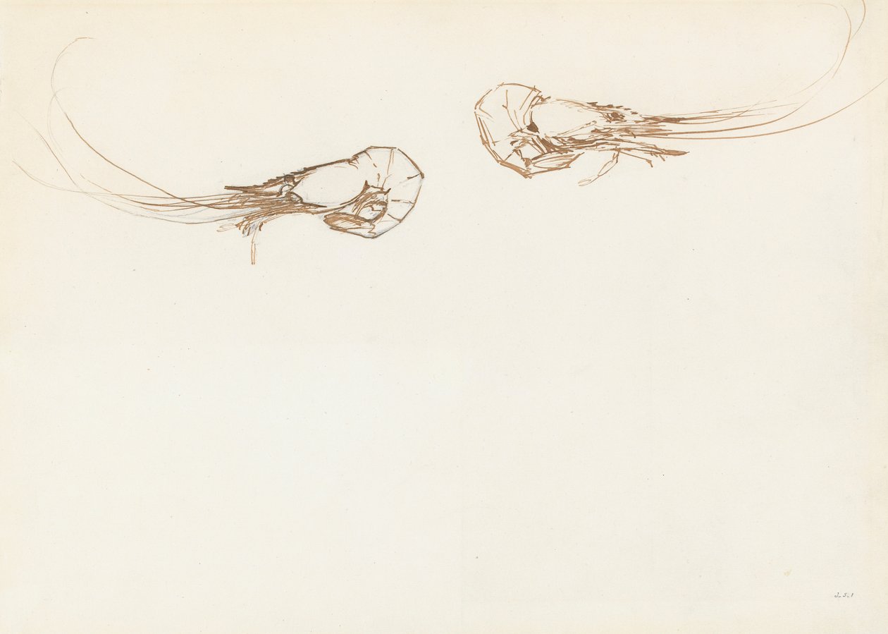 Dos camarones de John Singer Sargent
