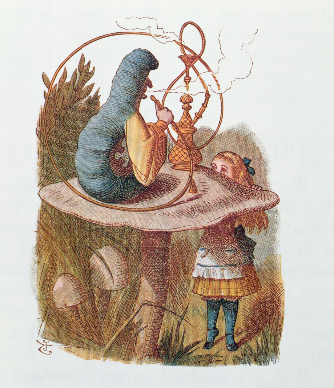 Alicia y la oruga, ilustración de 