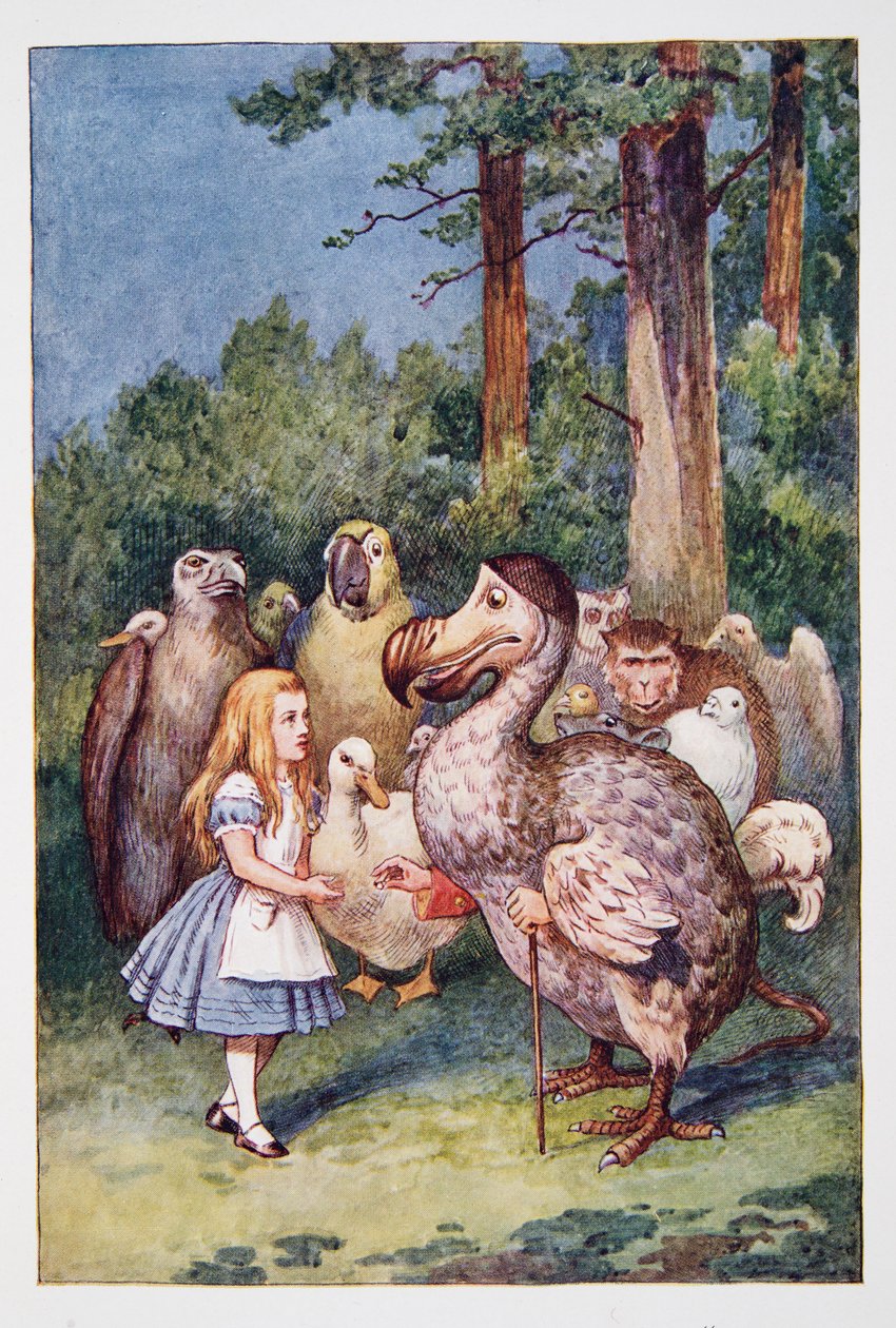 Alicia se encuentra con el Dodo, de Las aventuras de Alicia en el país de las maravillas y A través del espejo y lo que Alicia encontró allí, de Lewis Carroll, publicado en 1911 de John Tenniel