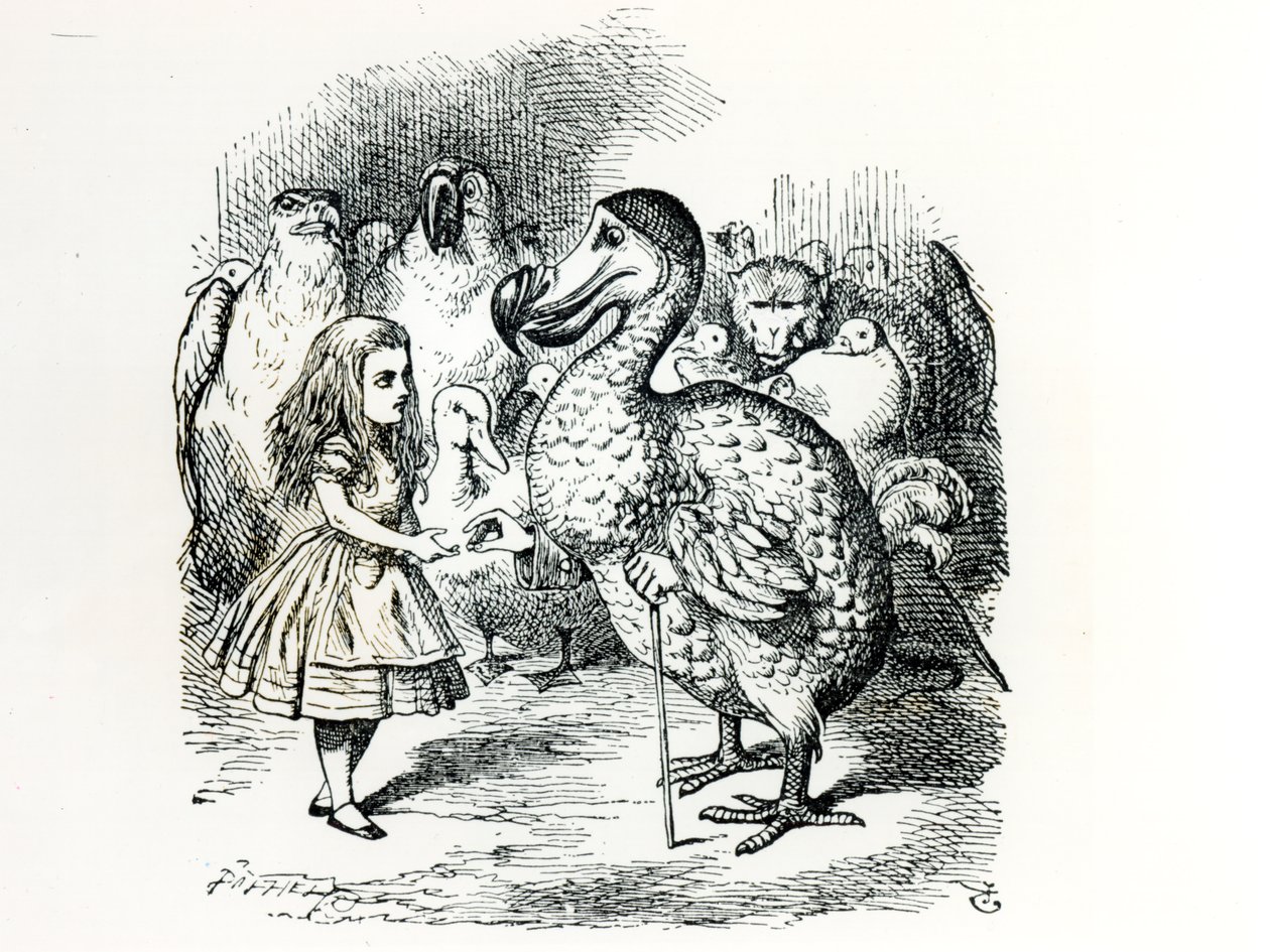 Alicia se encuentra con el Dodo, ilustración de 