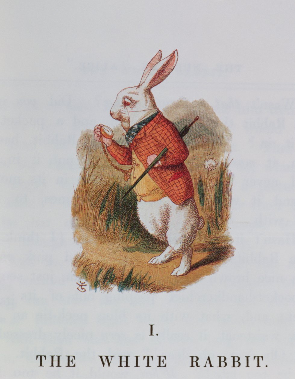 El Conejo Blanco, ilustración de 