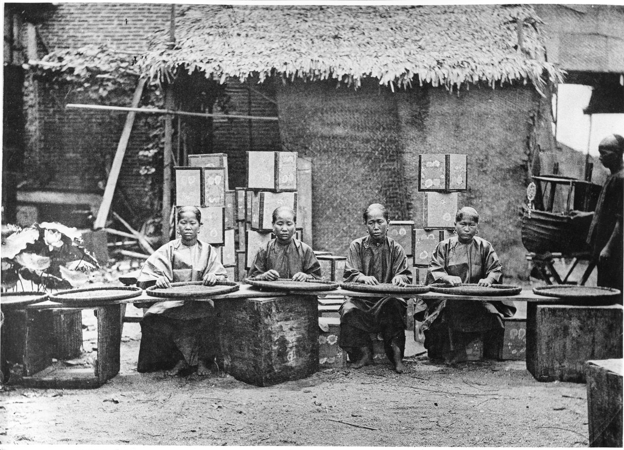 Recolección de té en Cantón, c.1872 de John Thomson